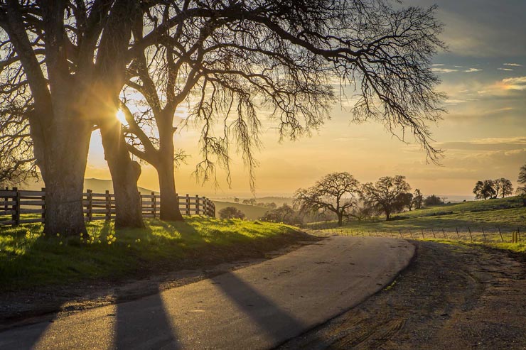 View of the sun setting behind three tress on a country road in Drytown, CA.
